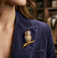 Gold owl brooch on a blue blazer with a blurred background