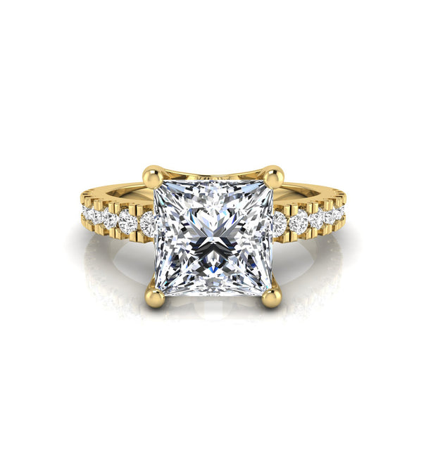 princess rounf moissanite engagement ring