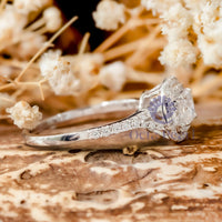 Cushion Moissanite Double Halo Split Shank Ring